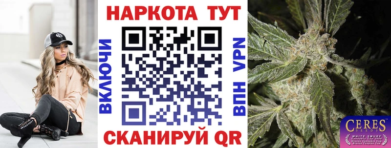 А ПВП Высоцк