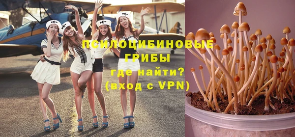 2c-b Белокуриха