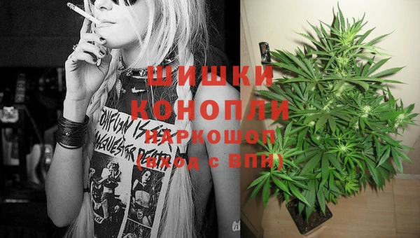 2c-b Белокуриха