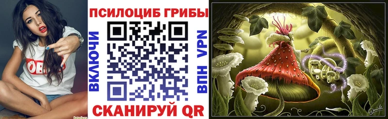 Галлюциногенные грибы Cubensis  Высоцк 